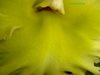 Blc. Ports of Paradise x Blc. Hemlock Pass